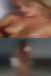 Find pussy