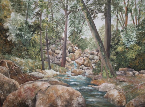 a beautiful painting of Becky Falls located on Dartmoor in Devon